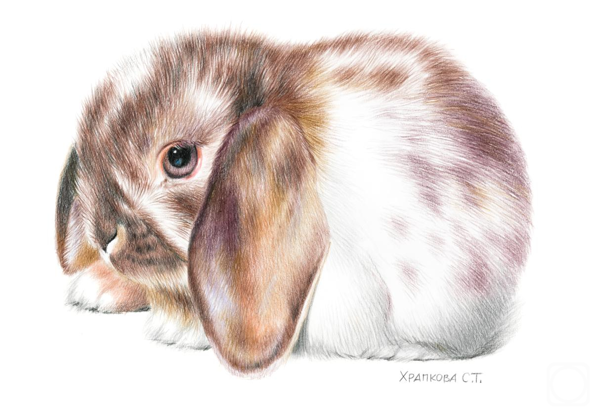 �������. �������� ��������. ������ �����