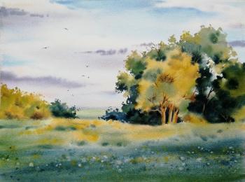 Summer landscape. Kovalenko Olga