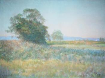 Blooming meadow. Chernyshev Vladimir