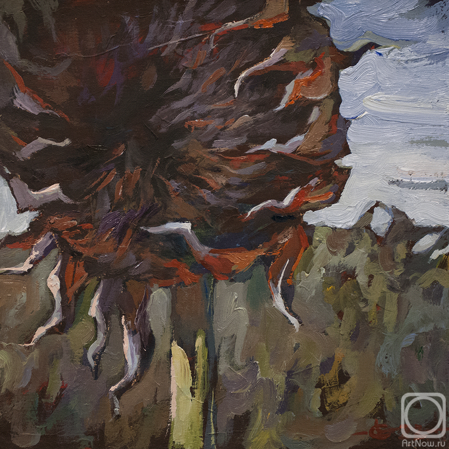 �������. ���� �����. �������. 2022