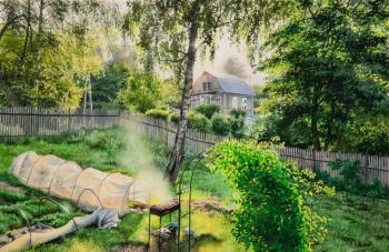 Untitled. Ivanov Vladimir