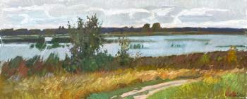 Lake in Zamostyany. Zhukova Juliya