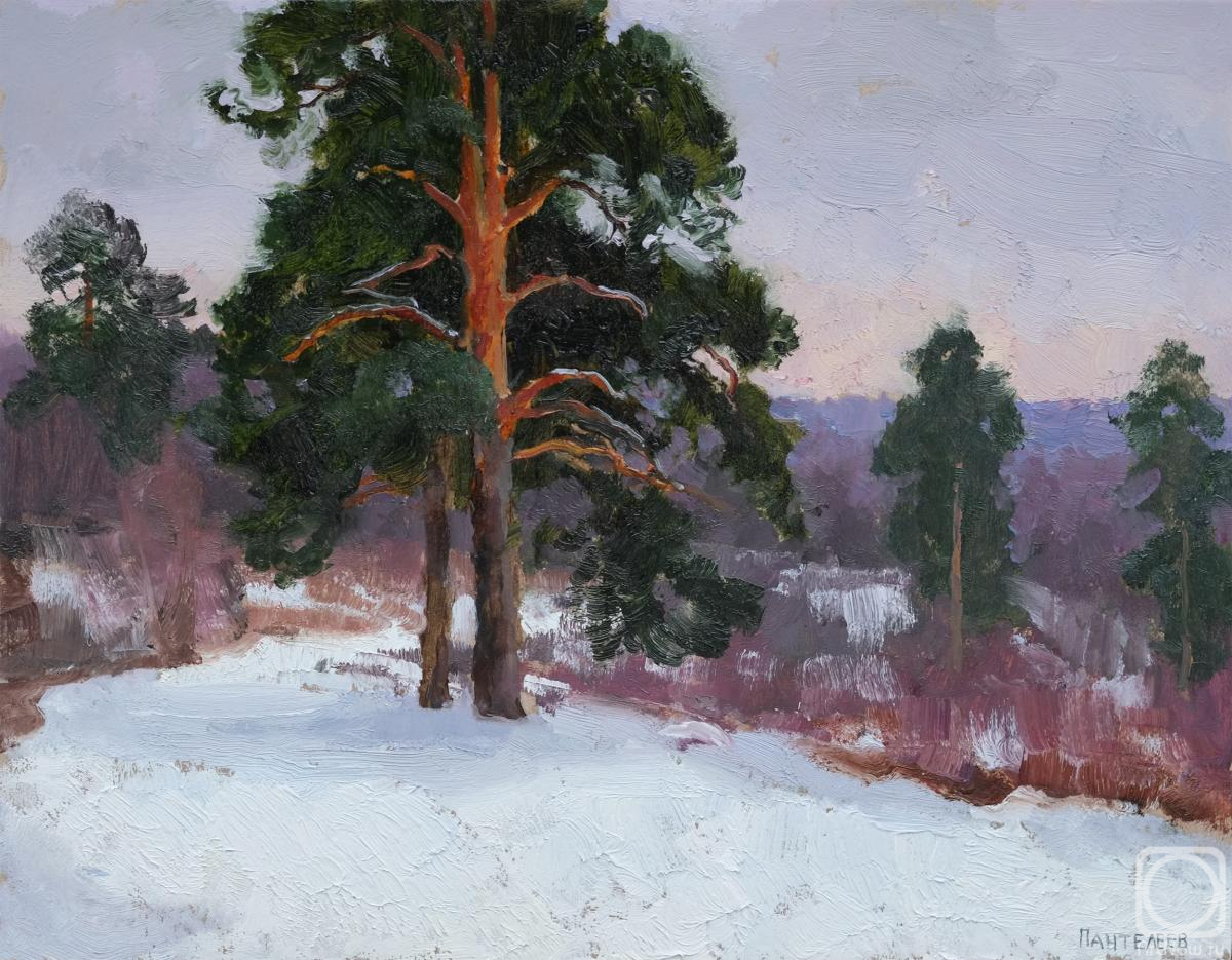 Panteleev Sergey. Polivanovo. Early winter