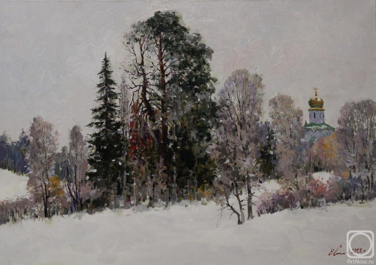 Malykh Evgeny. Winter landscape