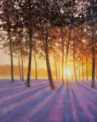 ������� �������� ����