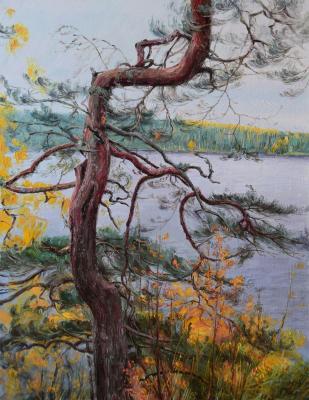 Autumn. Pine. Krasovskaya Tatyana