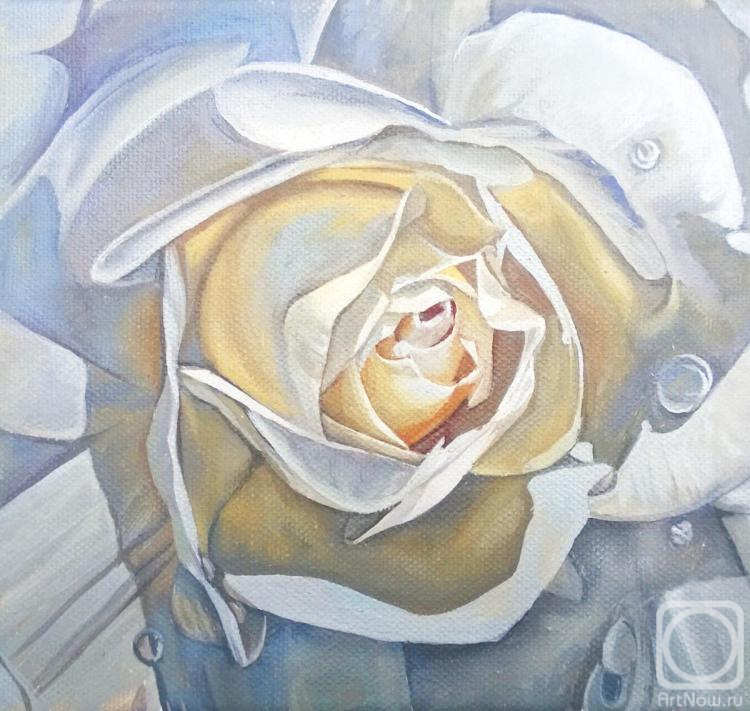 ������� ������ �� ������. ���������� ���������. ����� ����