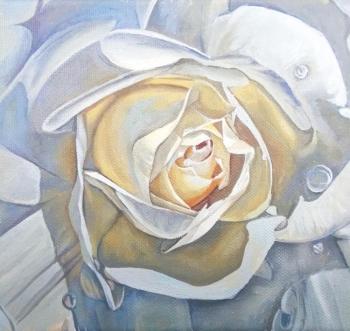 ����� ����. ���������� ���������