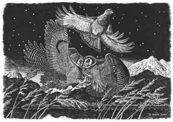The Owls have missed (Night Bird). Fomin Nikolay
