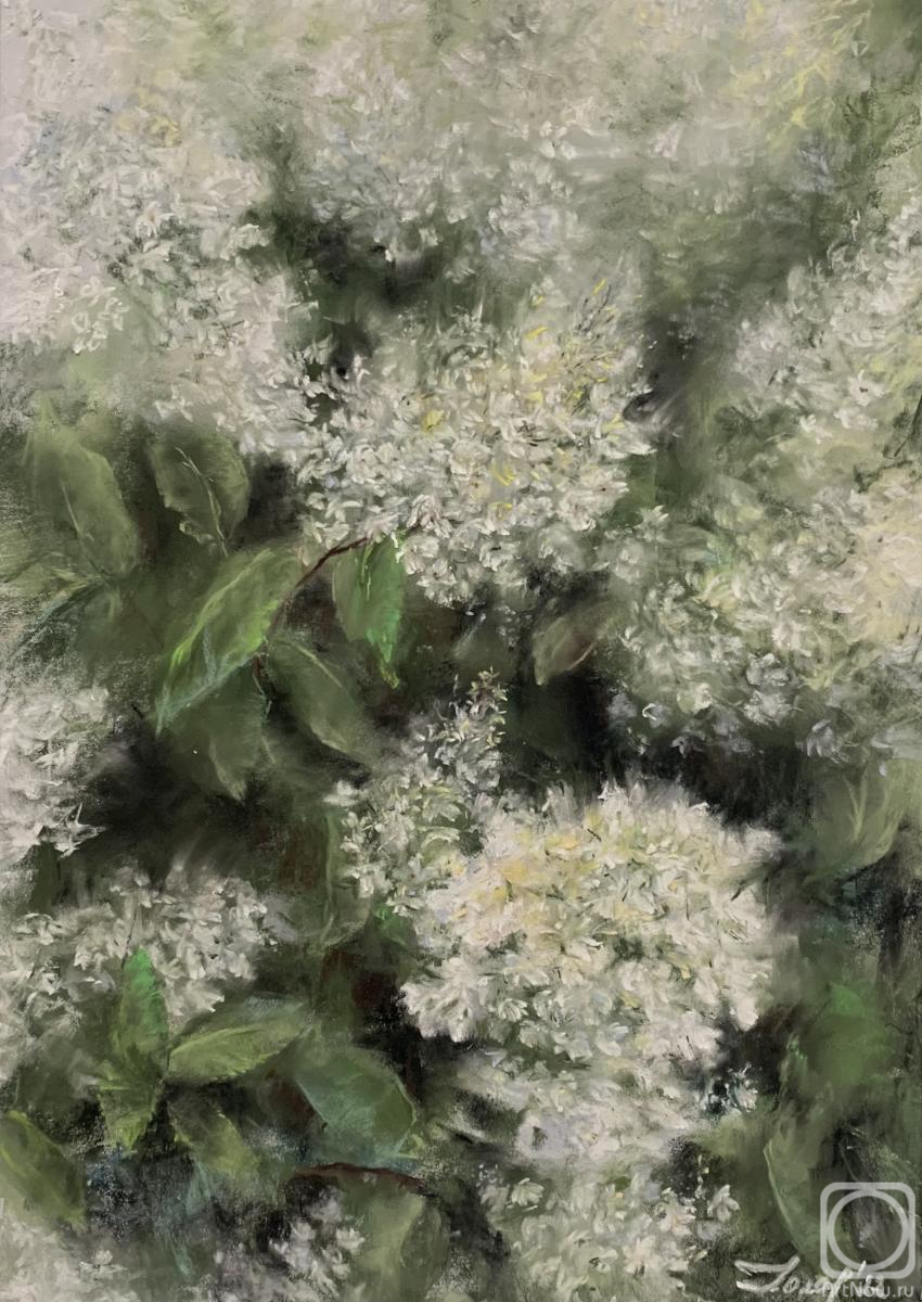 �������. ������� ��������. ���������