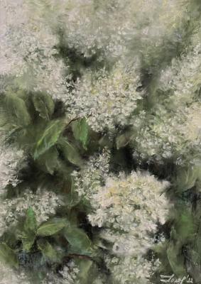 ���������. ������� ��������