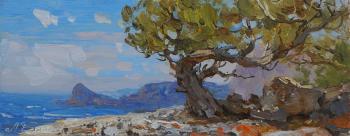 Where the juniper grows (The Summer Morning Landscape). Balakin Artem