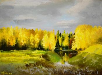 Gold of the autumn sun. Stolyarov Vadim