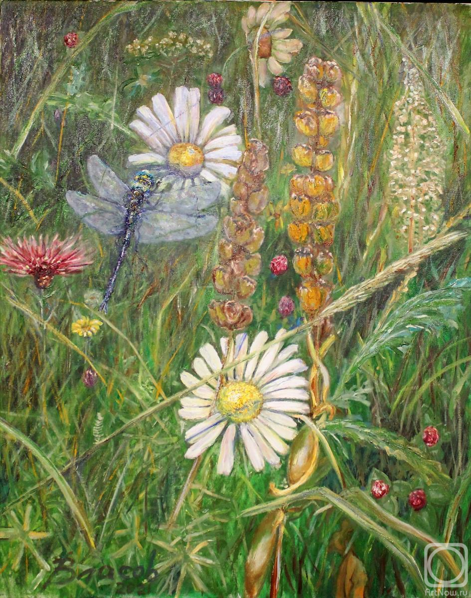 ������� ������ �� ������. ������ ��������. �������� �� �������