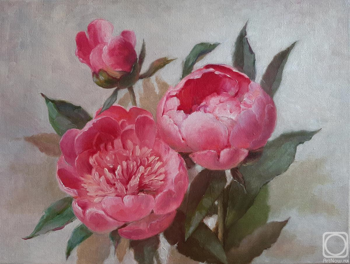 ������� ������ �� ������. ������ ������. �����