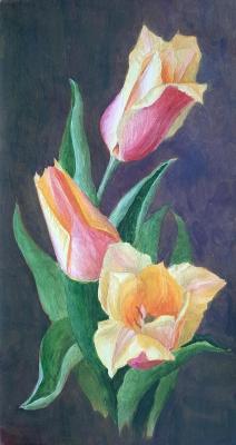 Tulips. Zhivlyuk Marina