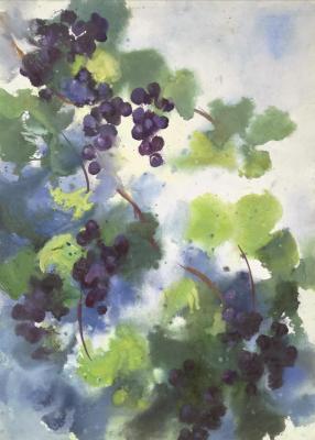 ����������� ����� ����������. ��������