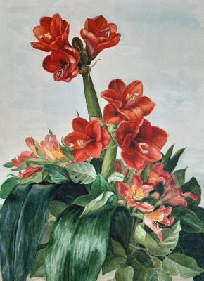 ������������ �����. ������ ������