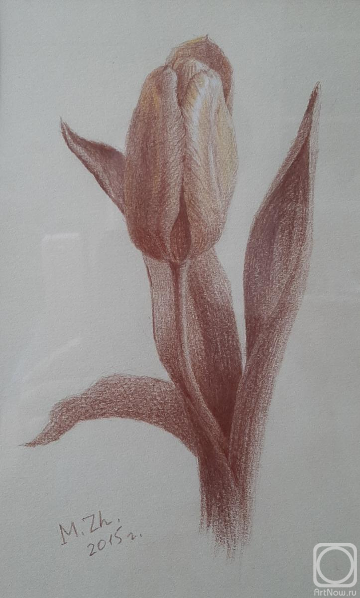 �������. ������ ������. �������