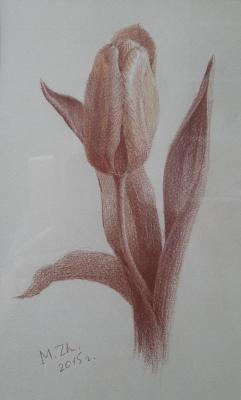 �������. ������ ������