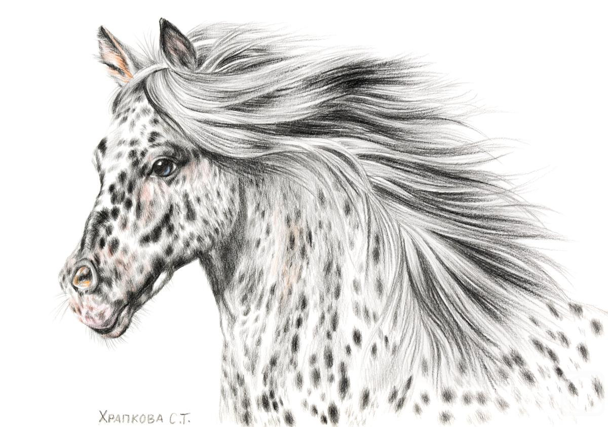 �������. �������� ��������. ������ ��������