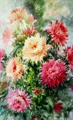 Chrysanthemums. Aleksandrov Aleksandr