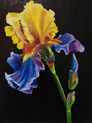 ������� �����