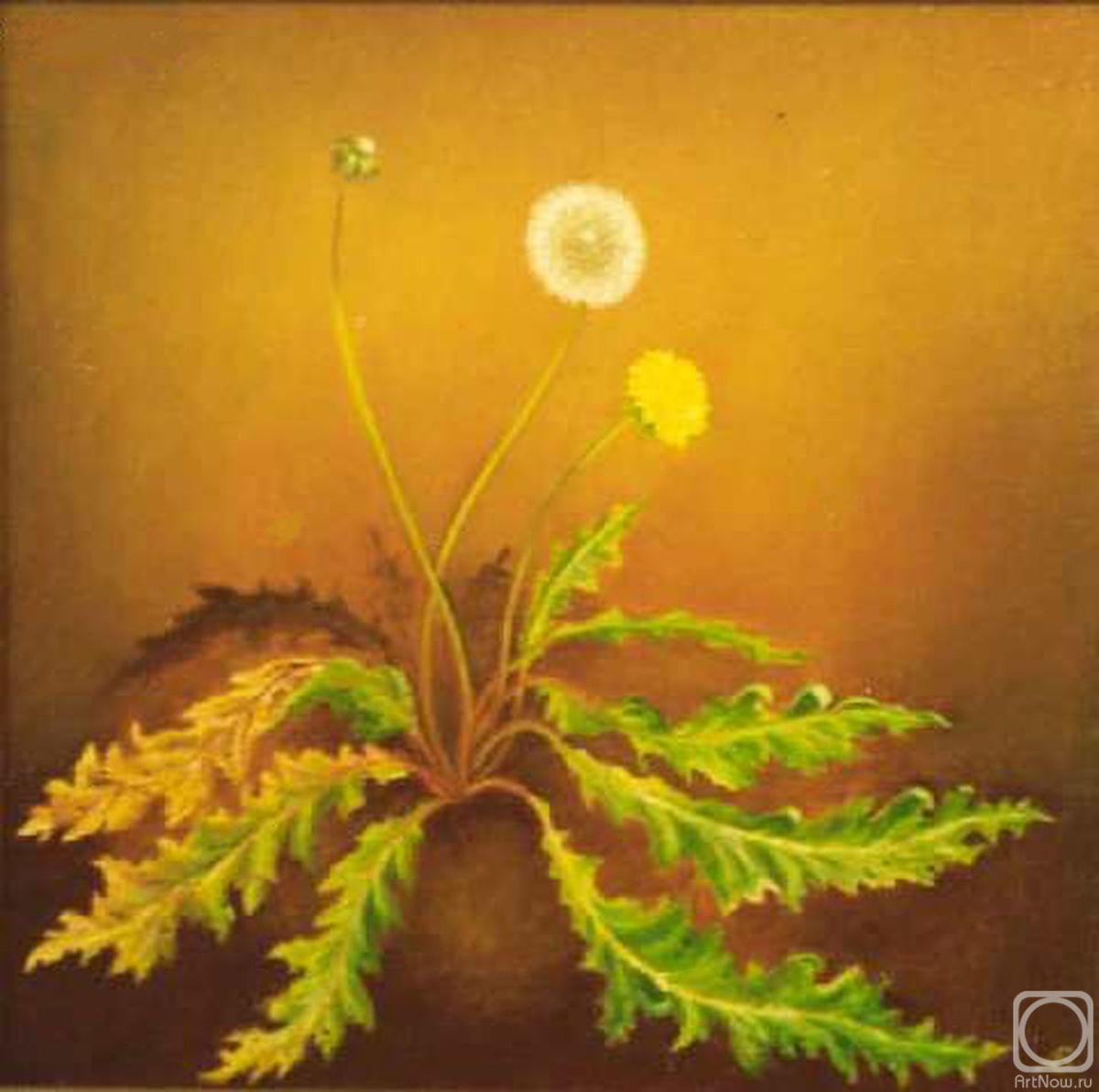 ������� ������ �� ������. ������� ��������. �����������