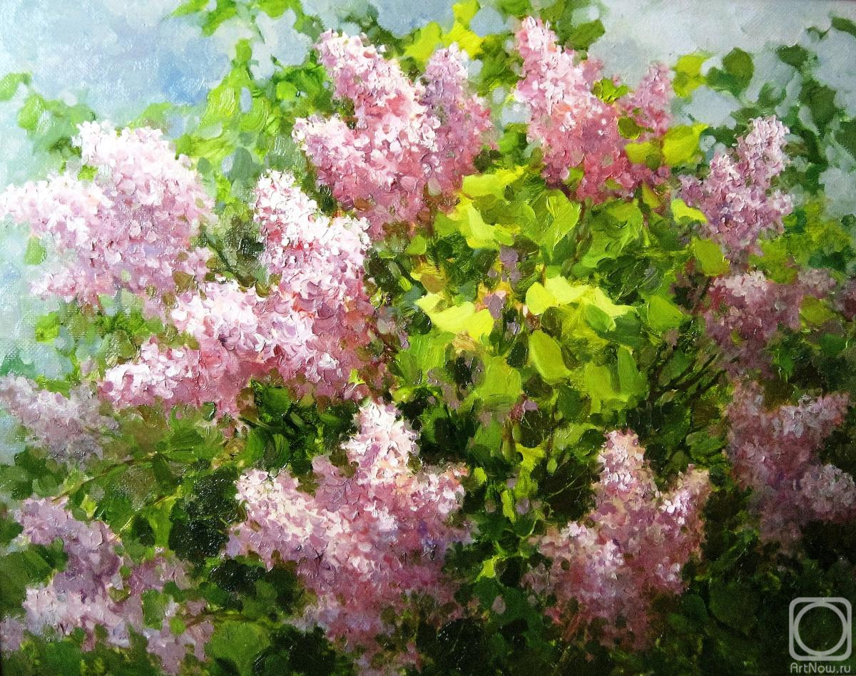 Aleksandrov Aleksandr. Lilac bush