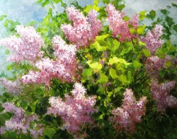 Lilac bush. Aleksandrov Aleksandr