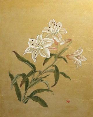 White Lily. Semenova Elena