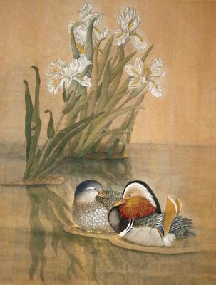 Mandarin ducks. Semenova Elena