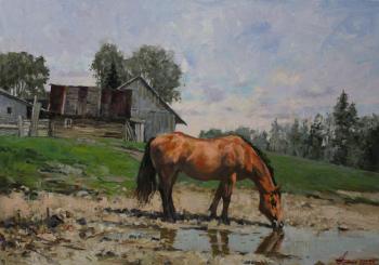 Village. Horse (Drinking Water). Malykh Evgeny