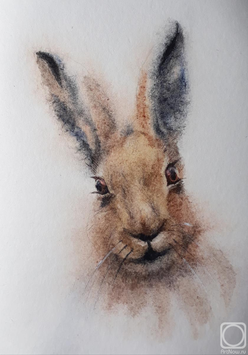 �������. �������� ������. �����