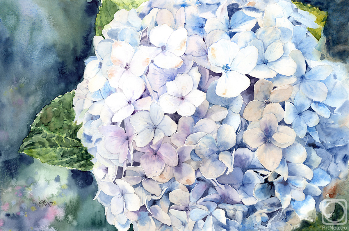 �������. ������� �����. ������� ���������. ����� ���������