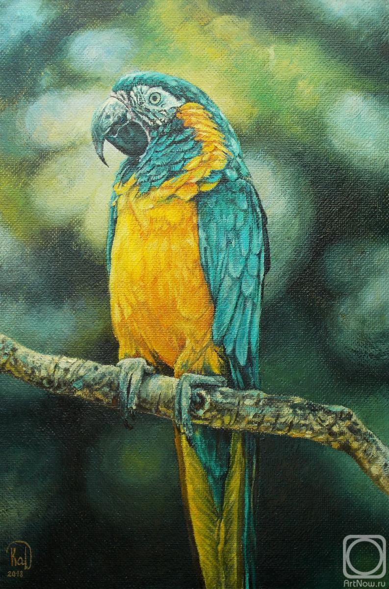 �������. �������� �����. ������� ���