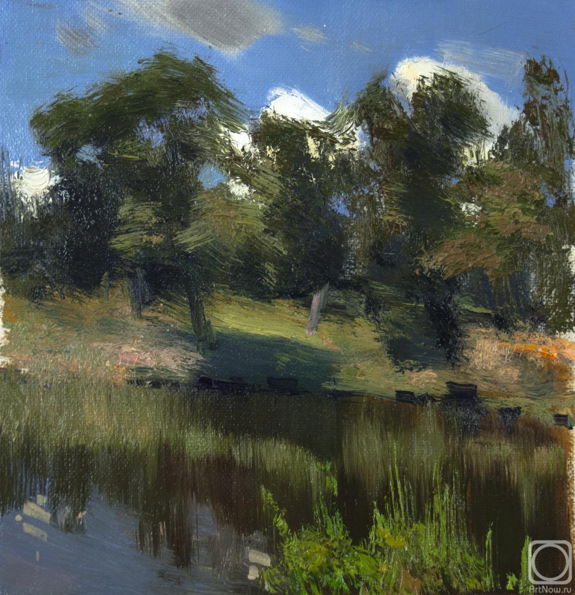 ������� ������ �� ������. ������������ ����. ��������� ����, �����