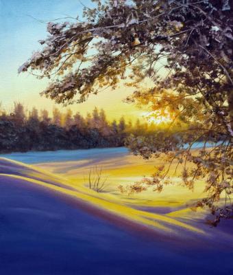 ������� �����������