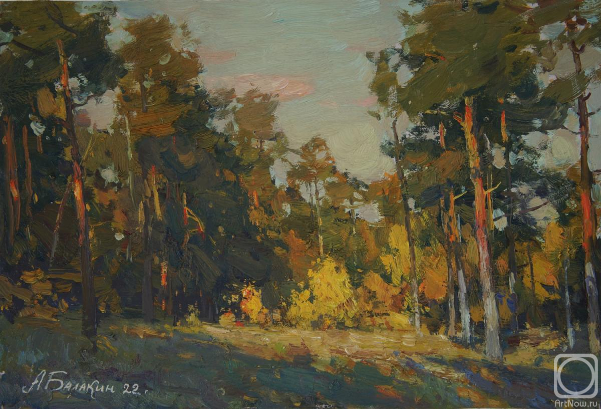 Balakin Artem. Autumn in the pine forest