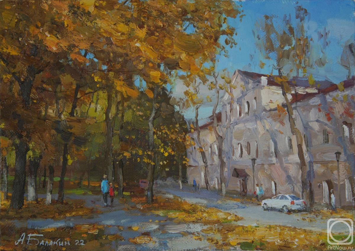 Balakin Artem. Autumn walk