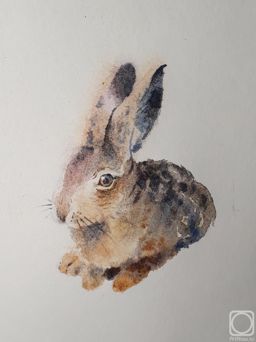 �������. �������� ������. ���� �����