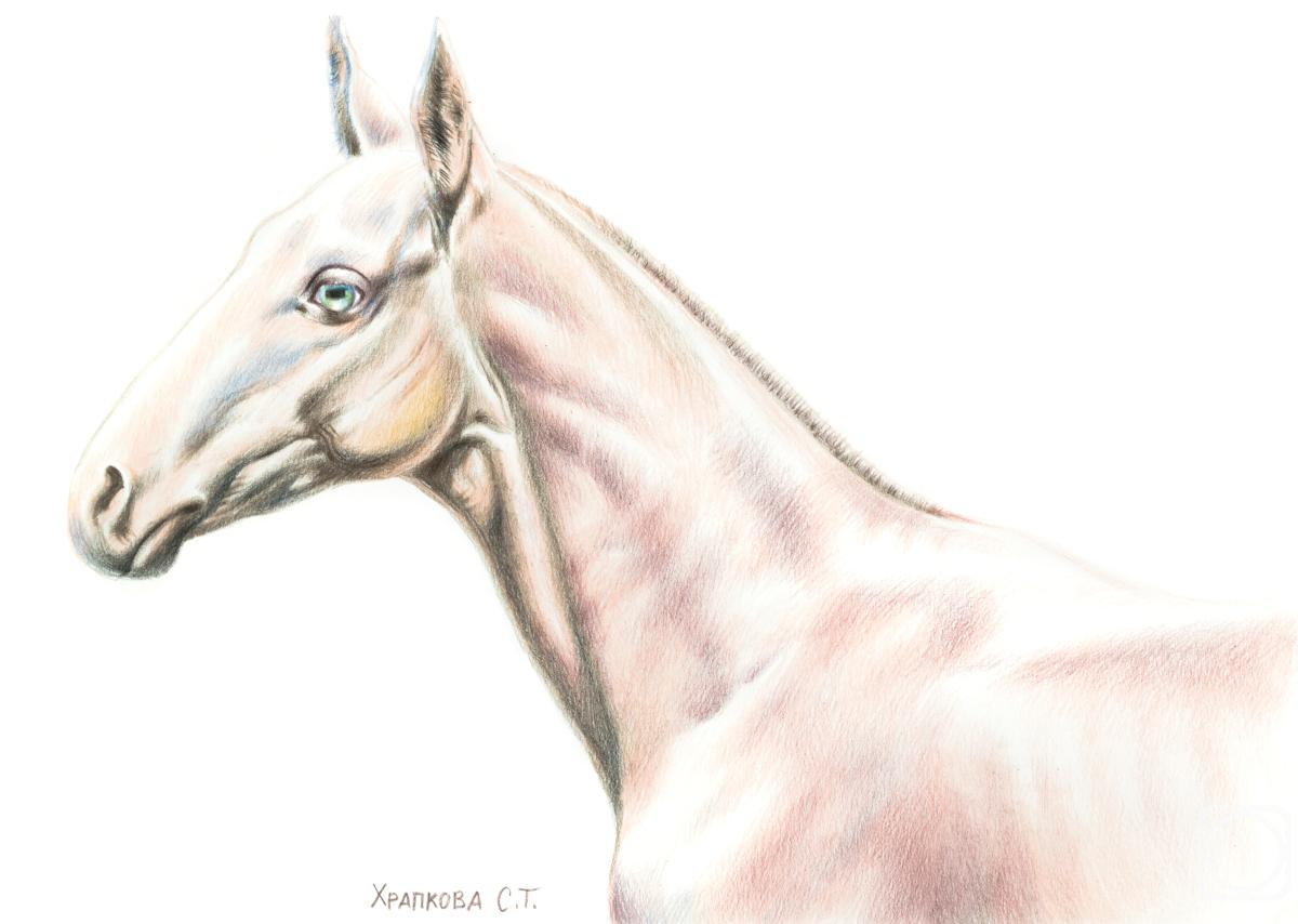 �������. �������� ��������. ����������� ����������� �����