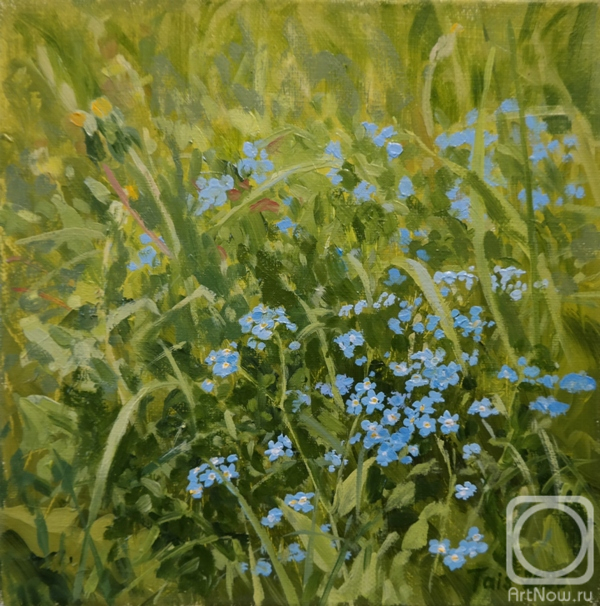 ������� ������ �� ������. ���������� ������. ���� � ����������