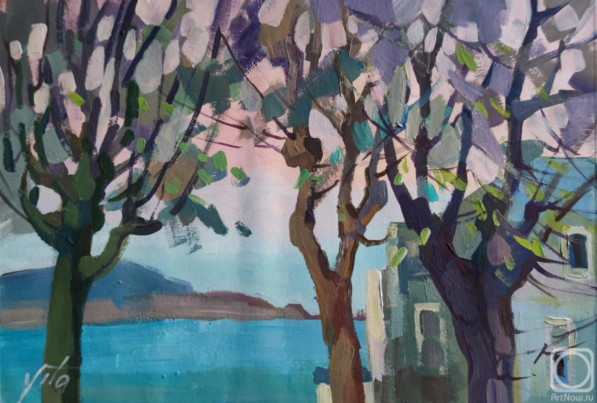 �������. ������ ��������. ���������� ����