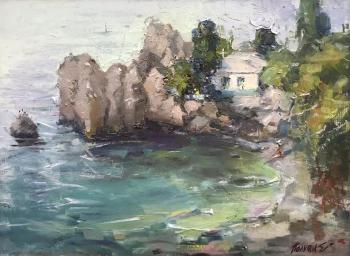 House by the sea. Summer. Poluyan Yelena