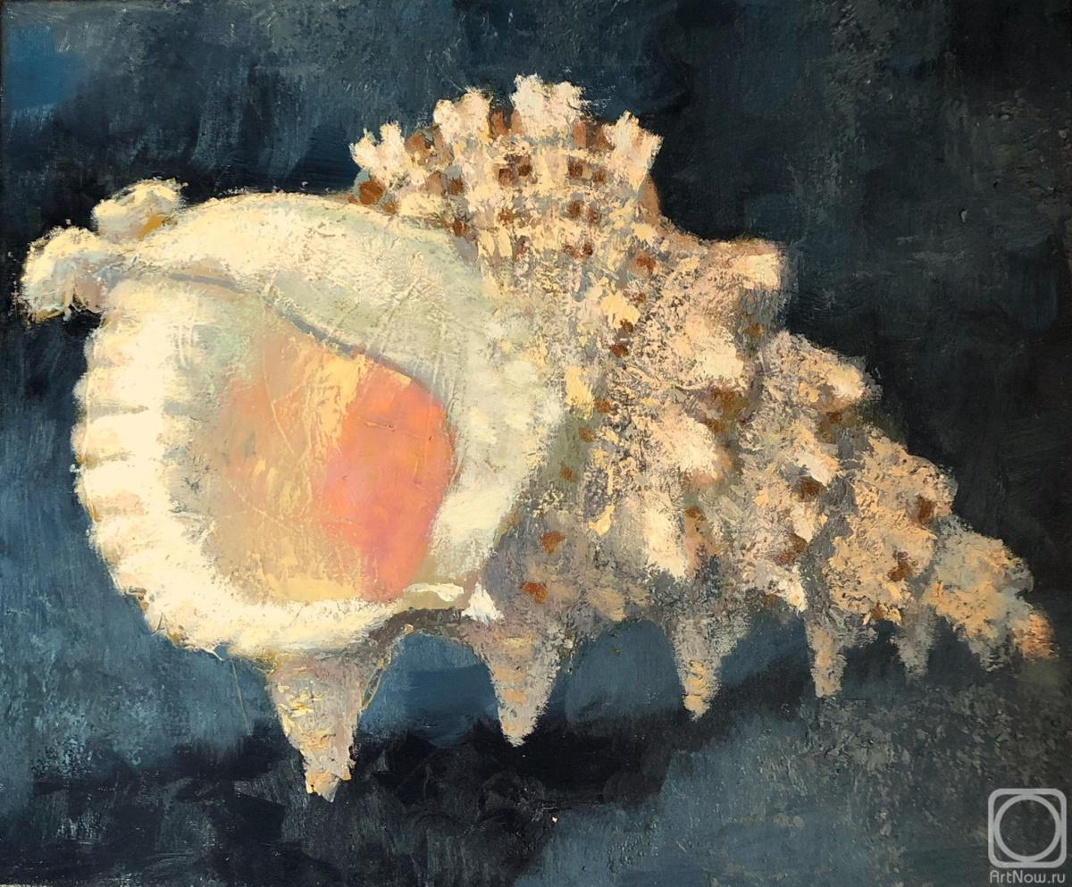 ������� ������ �� ������. �������� �����. �������� �� �����