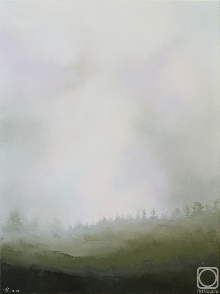 Stolyarov Vadim. Misty sky