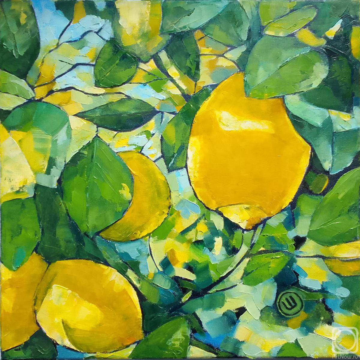 ������� ������ �� ������. ��� ������. �������� �������