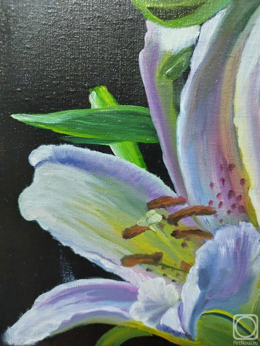 ������� ������ �� ������. ���������� �������. �����