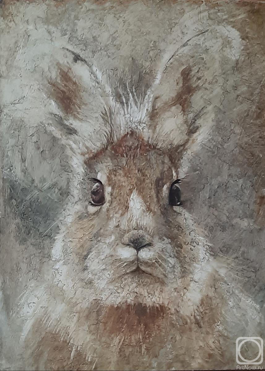 ������� ������ �� ������. ������� ������. ��������!